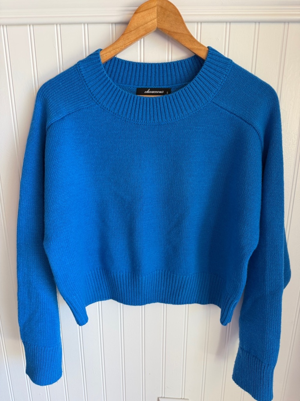 Olivaceous Vibrant Blue Crew Neck Sweater